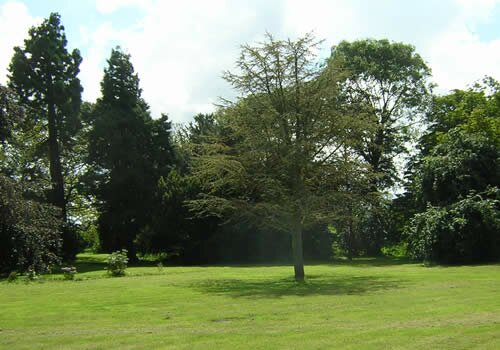 Mature Gardens